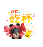 ミニチュアダックスのゆるっとラッキー③（個別スタンプ：17）