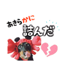 ミニチュアダックスのゆるっとラッキー③（個別スタンプ：27）