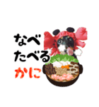 ミニチュアダックスのゆるっとラッキー③（個別スタンプ：29）