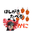 ミニチュアダックスのゆるっとラッキー③（個別スタンプ：35）