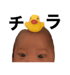 たいがくんの生活（個別スタンプ：5）