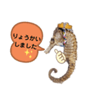 【実写版】タツノオトシゴ（個別スタンプ：7）