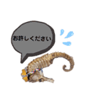 【実写版】タツノオトシゴ（個別スタンプ：24）