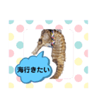 【実写版】タツノオトシゴ（個別スタンプ：33）
