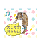 【実写版】タツノオトシゴ（個別スタンプ：34）