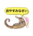 【実写版】タツノオトシゴ（個別スタンプ：40）