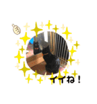 とむはうすの家族  猫編（個別スタンプ：8）