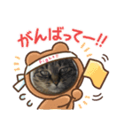 とむはうすの家族  猫編（個別スタンプ：13）