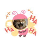 とむはうすの家族  猫編（個別スタンプ：15）