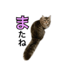 昆布。（個別スタンプ：12）