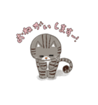 いやしまめ（個別スタンプ：4）