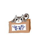 いやしまめ（個別スタンプ：6）