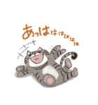 いやしまめ（個別スタンプ：15）