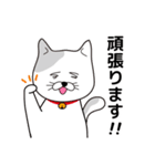 飼い猫たま～シンプル～（個別スタンプ：4）