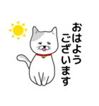 飼い猫たま～シンプル～（個別スタンプ：17）