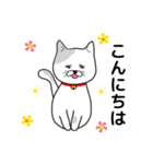 飼い猫たま～シンプル～（個別スタンプ：18）