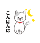 飼い猫たま～シンプル～（個別スタンプ：19）