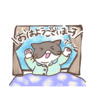 汎用性高い！？ハチワレねこスタンプ（個別スタンプ：1）