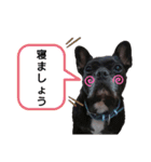 毎日スマイルわんこ（個別スタンプ：7）