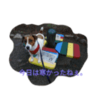 Happy gonta（個別スタンプ：35）
