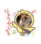 三毛猫ちゃん スタンプ（個別スタンプ：10）