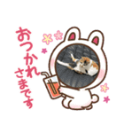 三毛猫ちゃん スタンプ（個別スタンプ：16）