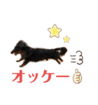 りく＆かい 2（個別スタンプ：3）