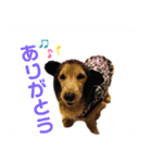 りく＆かい 2（個別スタンプ：10）