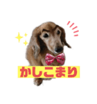 りく＆かい 2（個別スタンプ：13）