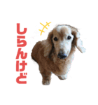 りく＆かい 2（個別スタンプ：14）