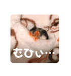 【フクロモモンガ】梅雨氏（個別スタンプ：2）