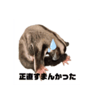 【フクロモモンガ】梅雨氏（個別スタンプ：8）