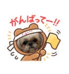 シーズーのさなちゃん（個別スタンプ：2）
