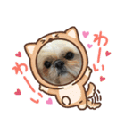 シーズーのさなちゃん（個別スタンプ：8）