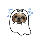シーズーのさなちゃん（個別スタンプ：9）