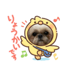 シーズーのさなちゃん（個別スタンプ：10）