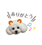 Bambi❤︎（個別スタンプ：6）