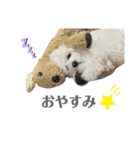 Bambi❤︎（個別スタンプ：7）