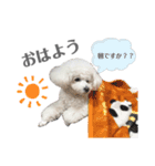 Bambi❤︎（個別スタンプ：12）