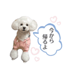 Bambi❤︎（個別スタンプ：15）