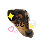 りつおのスタンプ☆（個別スタンプ：8）