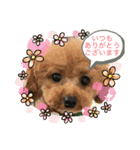 日常簡単会話（個別スタンプ：1）