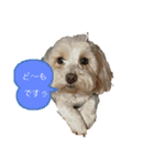 日常簡単会話（個別スタンプ：2）