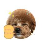 日常簡単会話（個別スタンプ：3）