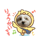 日常簡単会話（個別スタンプ：5）