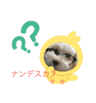 日常簡単会話（個別スタンプ：6）