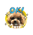 日常簡単会話（個別スタンプ：7）