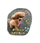 日常簡単会話（個別スタンプ：8）