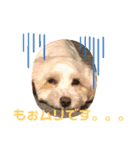 日常簡単会話（個別スタンプ：9）