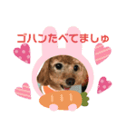 日常簡単会話（個別スタンプ：13）
